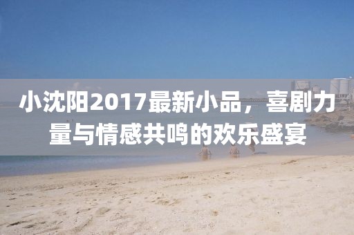 小沈阳2017最新小品，喜剧力量与情感共鸣的欢乐盛宴