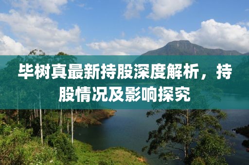 毕树真最新持股深度解析，持股情况及影响探究