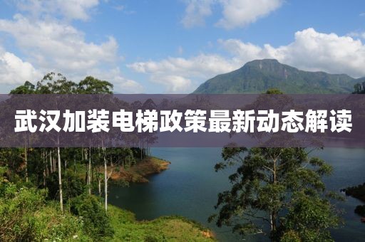 武汉加装电梯政策最新动态解读
