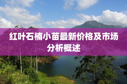 红叶石楠小苗最新价格及市场分析概述