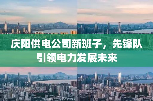 庆阳供电公司新班子，先锋队引领电力发展未来