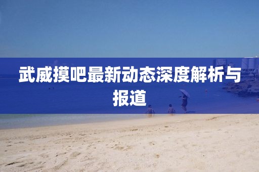 武威摸吧最新动态深度解析与报道