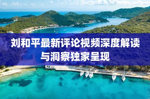 刘和平最新评论视频深度解读与洞察独家呈现