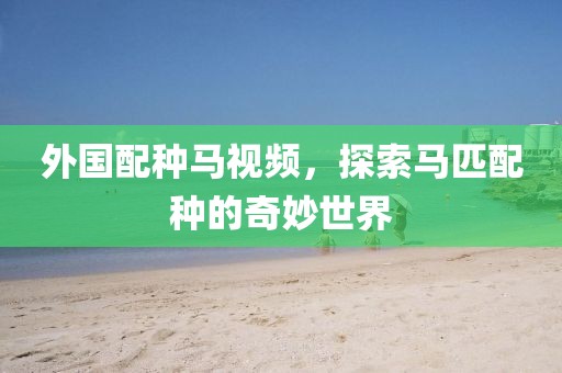 外国配种马视频，探索马匹配种的奇妙世界