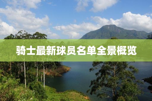 骑士最新球员名单全景概览