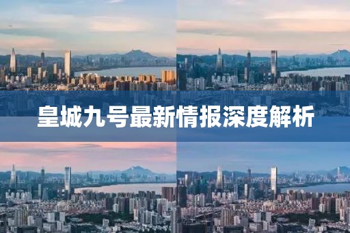 皇城九号最新情报深度解析