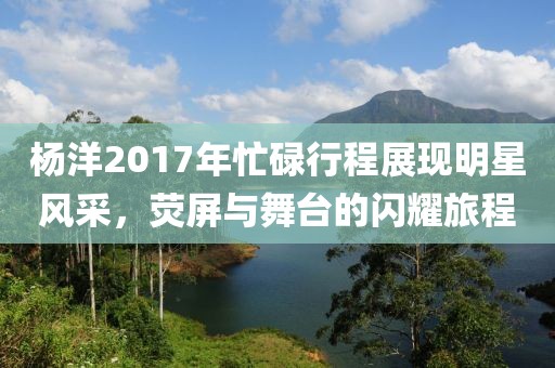 杨洋2017年忙碌行程展现明星风采，荧屏与舞台的闪耀旅程