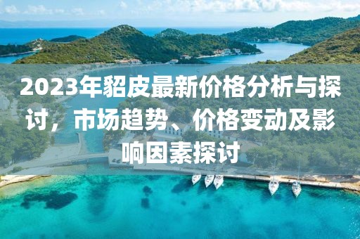 2023年貂皮最新价格分析与探讨，市场趋势、价格变动及影响因素探讨