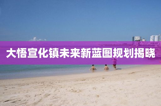 大悟宣化镇未来新蓝图规划揭晓