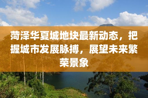 菏泽华夏城地块最新动态，把握城市发展脉搏，展望未来繁荣景象