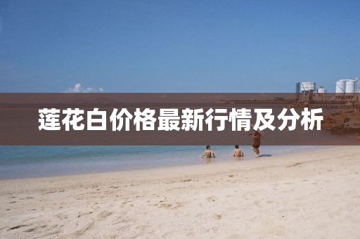 莲花白价格最新行情及分析