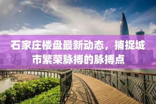 石家庄楼盘最新动态，捕捉城市繁荣脉搏的脉搏点