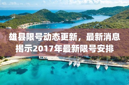 雄县限号动态更新，最新消息揭示2017年最新限号安排