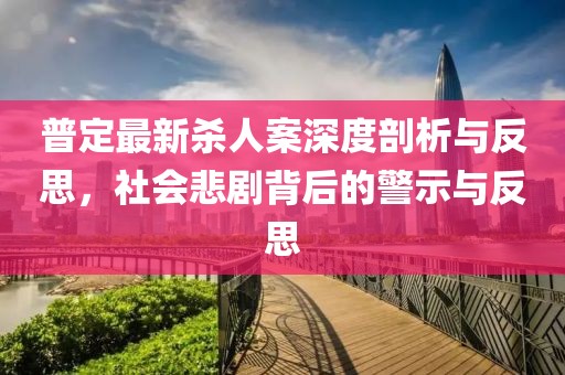 普定最新杀人案深度剖析与反思，社会悲剧背后的警示与反思