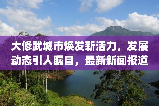 大修武城市焕发新活力，发展动态引人瞩目，最新新闻报道