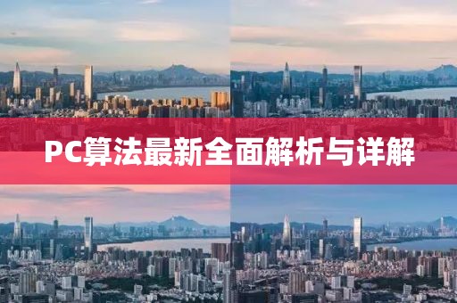 PC算法最新全面解析与详解