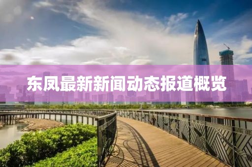 东凤最新新闻动态报道概览