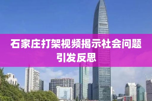 石家庄打架视频揭示社会问题引发反思