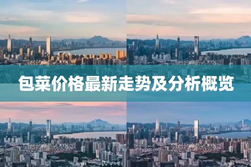包菜价格最新走势及分析概览