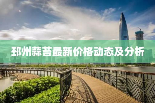 邳州蒜苔最新价格动态及分析