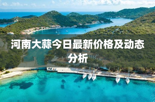 河南大蒜今日最新价格及动态分析