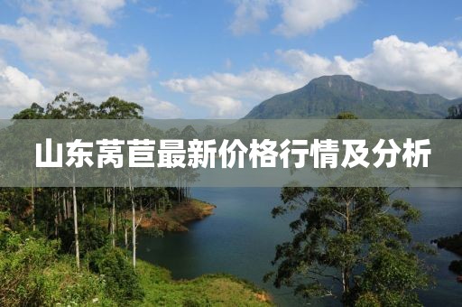 山东莴苣最新价格行情及分析