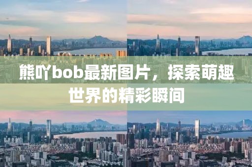 熊吖bob最新图片，探索萌趣世界的精彩瞬间