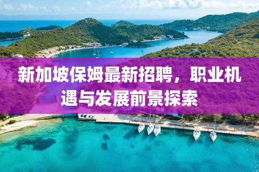 新加坡保姆最新招聘，职业机遇与发展前景探索