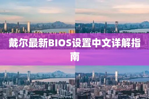 戴尔最新BIOS设置中文详解指南