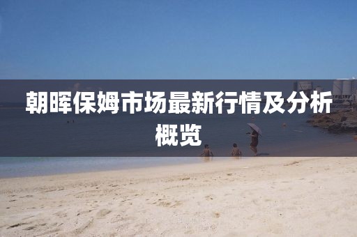 朝晖保姆市场最新行情及分析概览