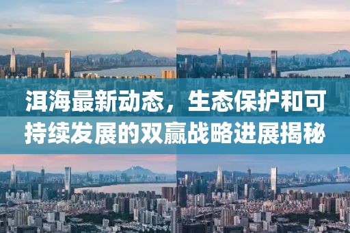 洱海最新动态，生态保护和可持续发展的双赢战略进展揭秘