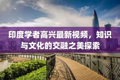 印度学者高兴最新视频，知识与文化的交融之美探索