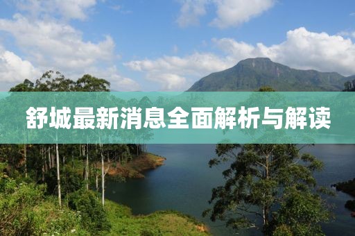 舒城最新消息全面解析与解读