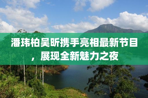 潘玮柏吴昕携手亮相最新节目，展现全新魅力之夜