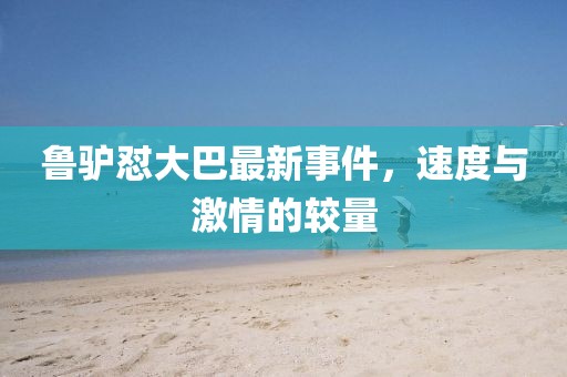 鲁驴怼大巴最新事件，速度与激情的较量