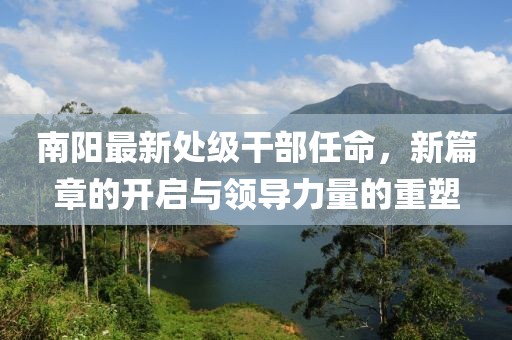 南阳最新处级干部任命，新篇章的开启与领导力量的重塑