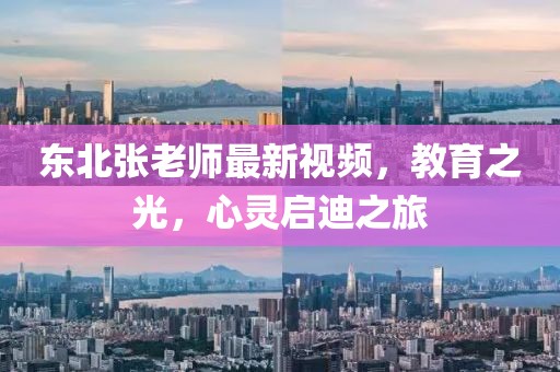 东北张老师最新视频，教育之光，心灵启迪之旅