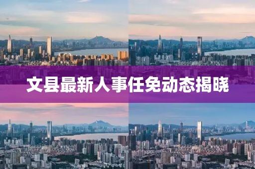 文县最新人事任免动态揭晓