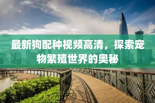 最新狗配种视频高清，探索宠物繁殖世界的奥秘