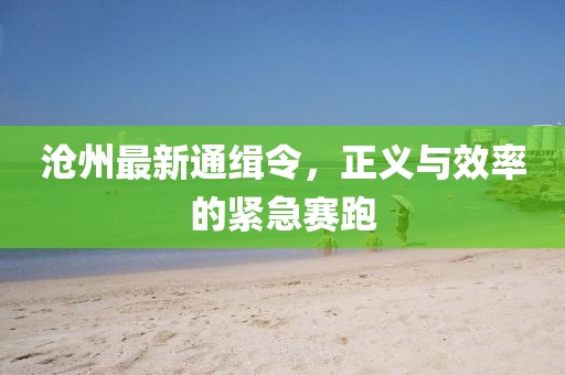 沧州最新通缉令，正义与效率的紧急赛跑