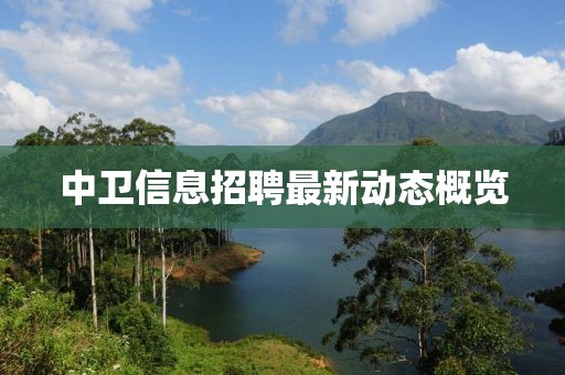 中卫信息招聘最新动态概览
