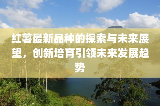 红薯最新品种的探索与未来展望，创新培育引领未来发展趋势