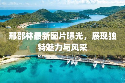 邢邵林最新图片曝光，展现独特魅力与风采
