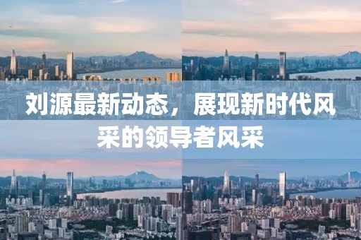 刘源最新动态，展现新时代风采的领导者风采