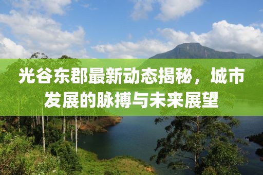 光谷东郡最新动态揭秘，城市发展的脉搏与未来展望