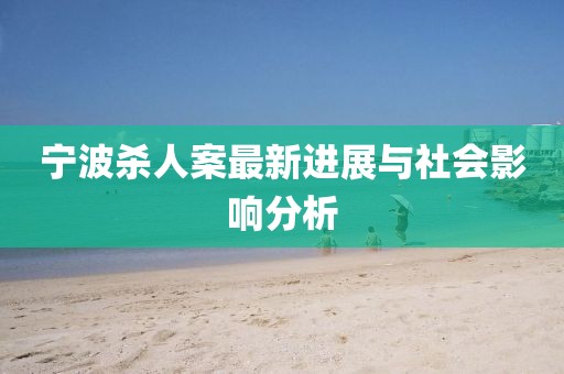 宁波杀人案最新进展与社会影响分析