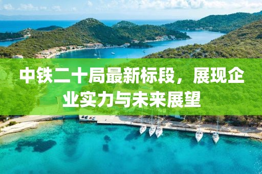 中铁二十局最新标段，展现企业实力与未来展望