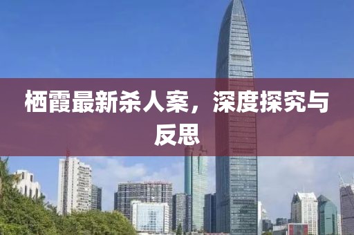 栖霞最新杀人案，深度探究与反思