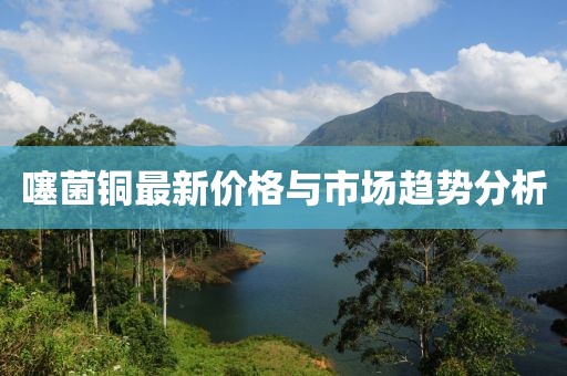 噻菌铜最新价格与市场趋势分析