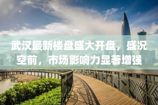 武汉最新楼盘盛大开盘，盛况空前，市场影响力显著增强
